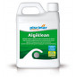 PM-634 Algiklean doble acción: algicida y abrillantador. Especial equipos de sal y tratamiento choque. Botella 1.1 Kg.