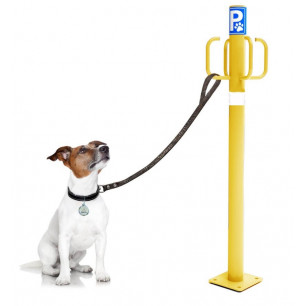 Náyade System® Dog-Parking DuoInox